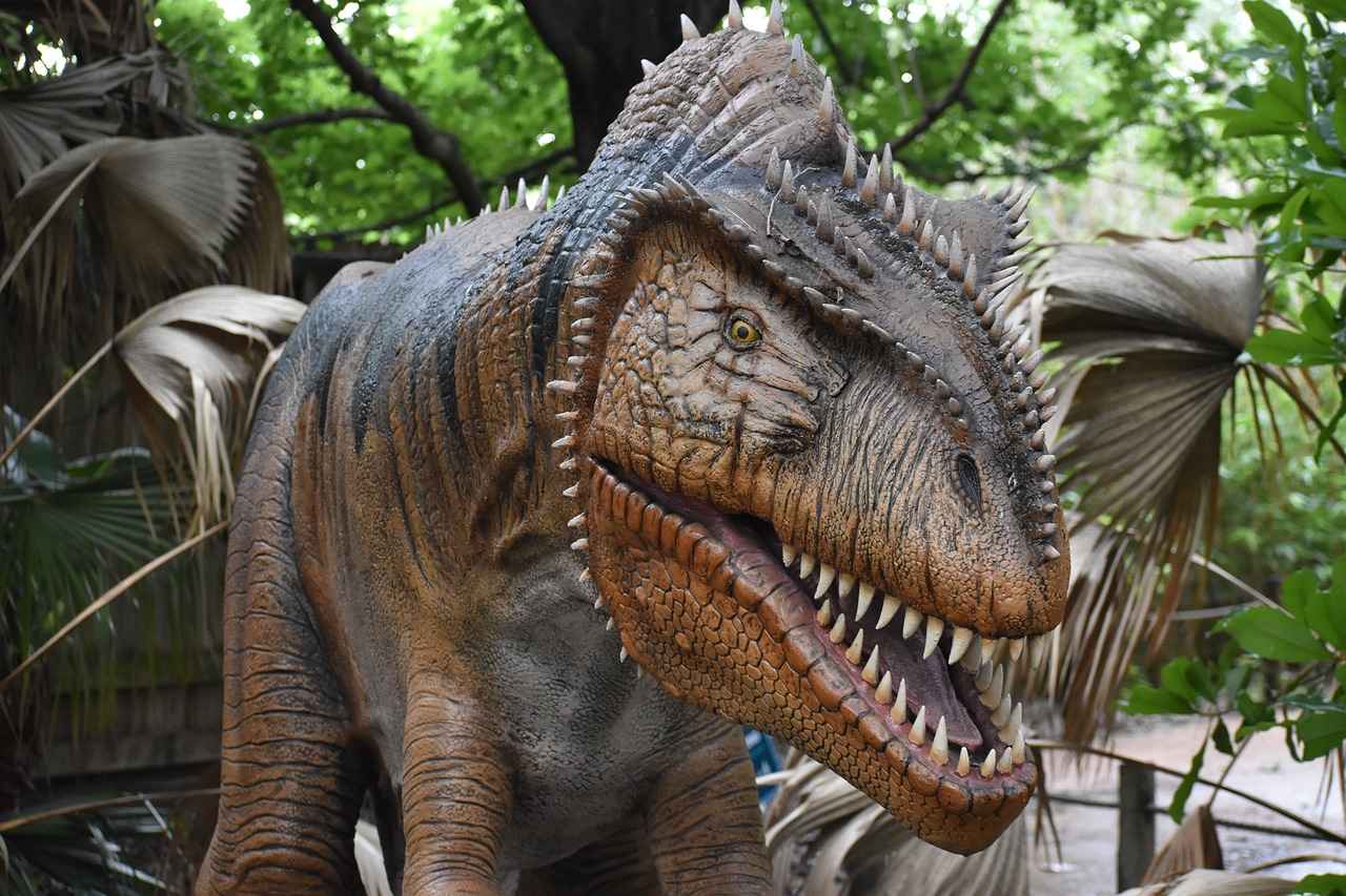 Banette's Evolution: From Shuppet to Banette