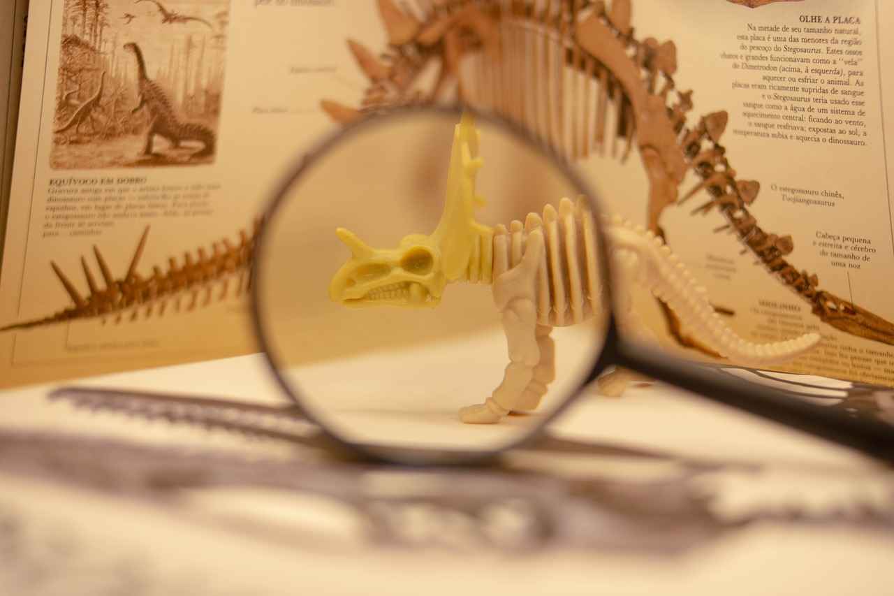 Bastiodon Evolution Line: How to Evolve