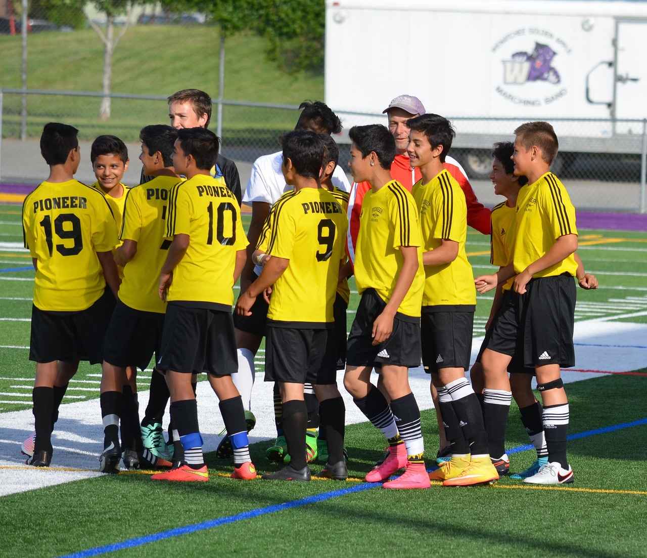 Building the Best Team Around Beautifly