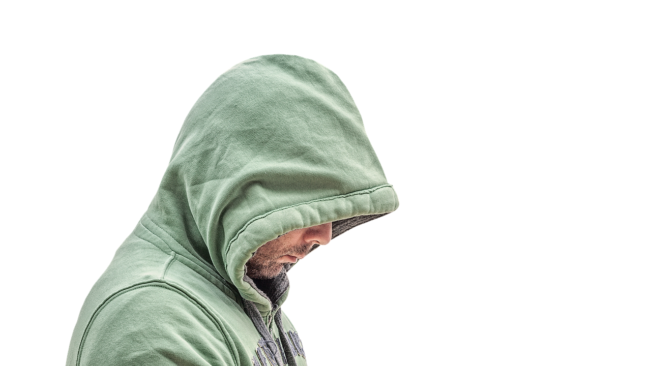 Brute Bonnet Pokémon: Best Moveset, Strengths, and Competitive Play Guide Brute Bonnet Pokémon: Best Moveset, Strengths, and Competitive Play Guide