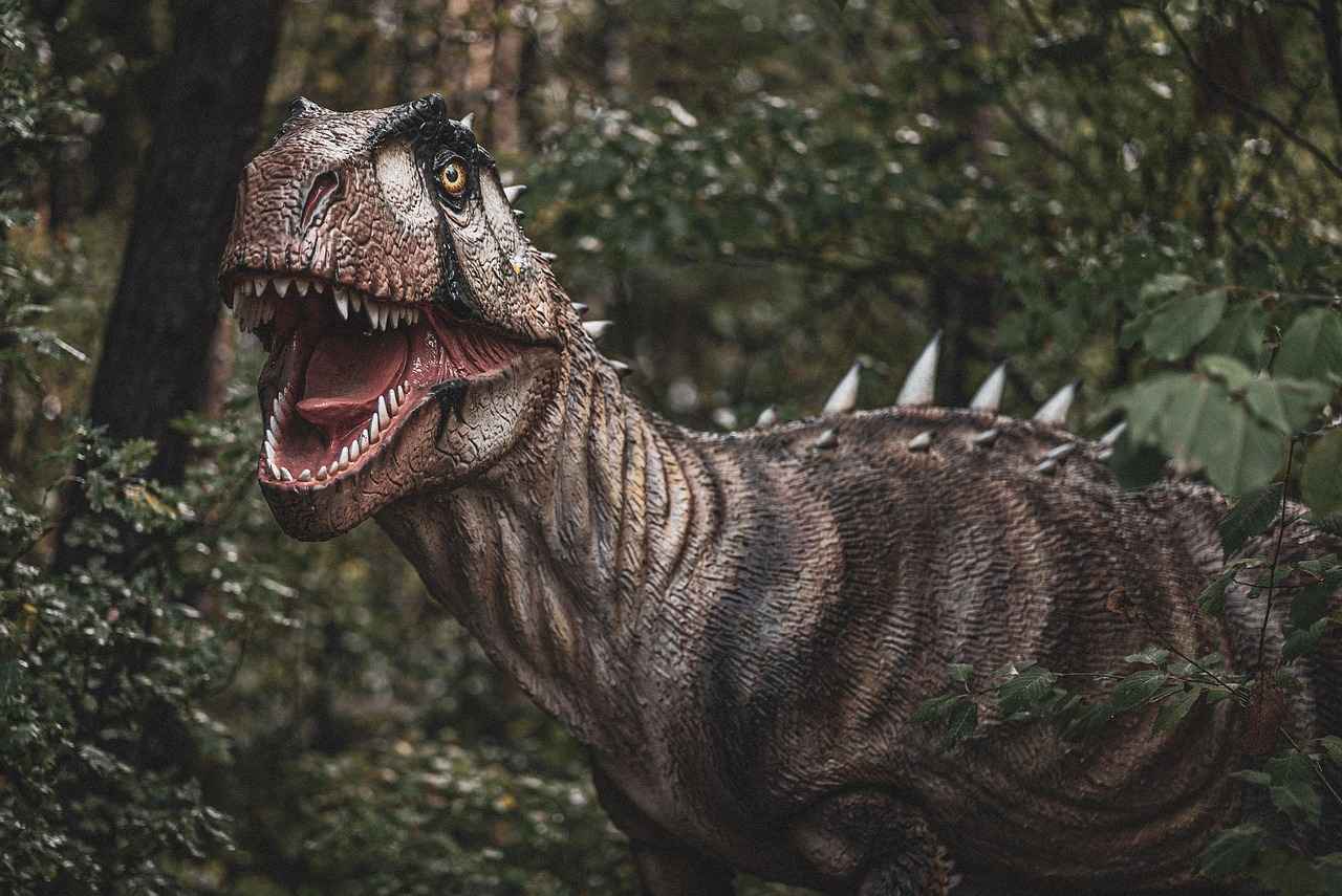 Evolution of Dreepy: From Dreepy to Dragapult