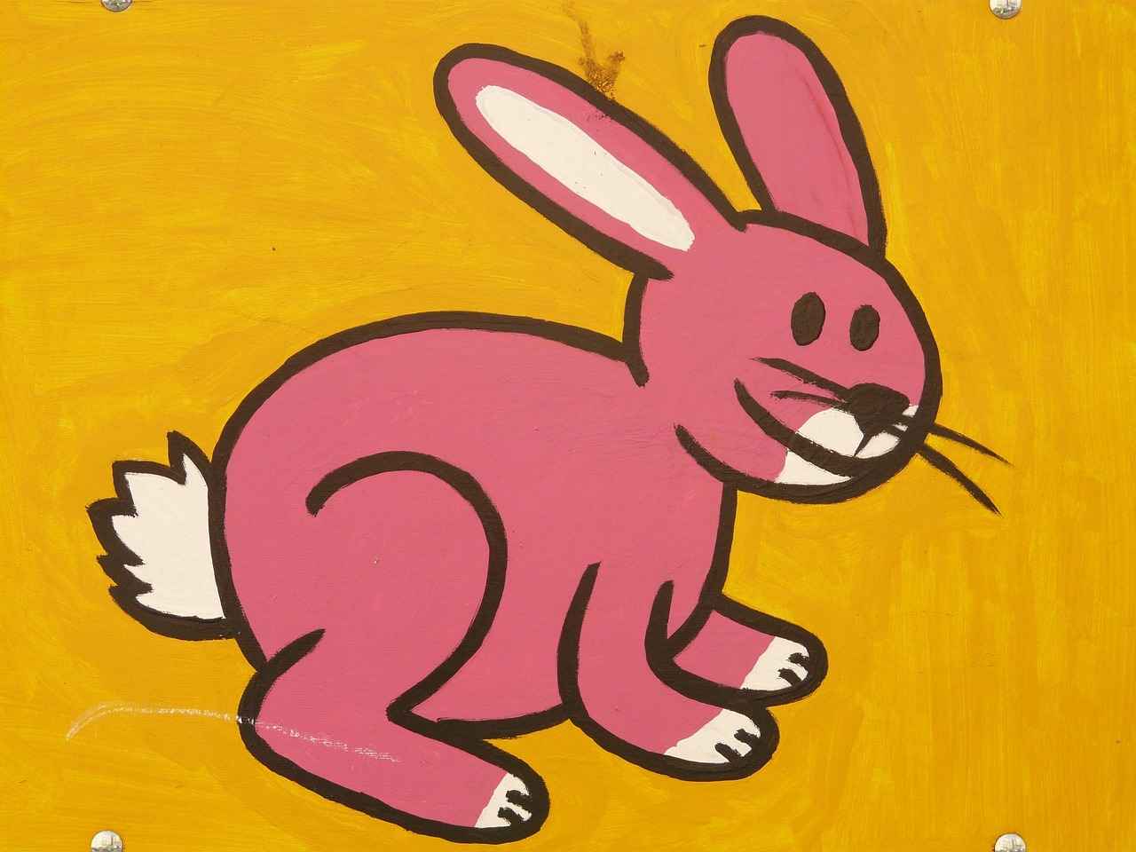 Understanding Flittle: Overview and Characteristics