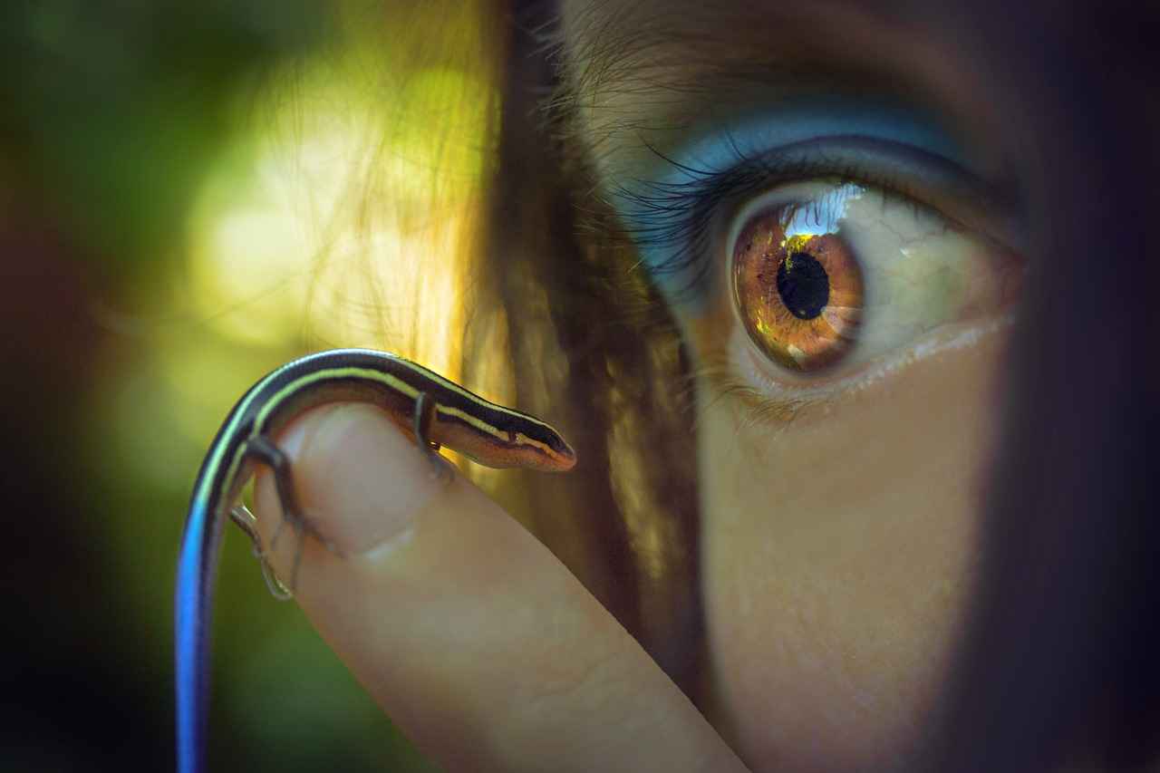 Best Moves for Glaceon in Competitive Play