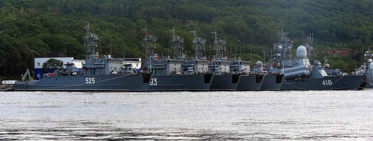 Hatterene Pokémon: Best Moveset, Battle Tactics, and Competitive Play Tips 3 Battle Tactics for Hatterene