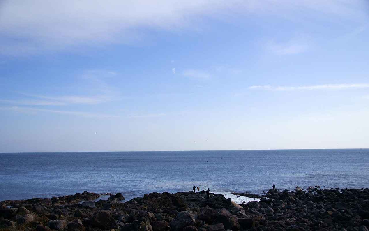 Optimal Items for Ho-Oh