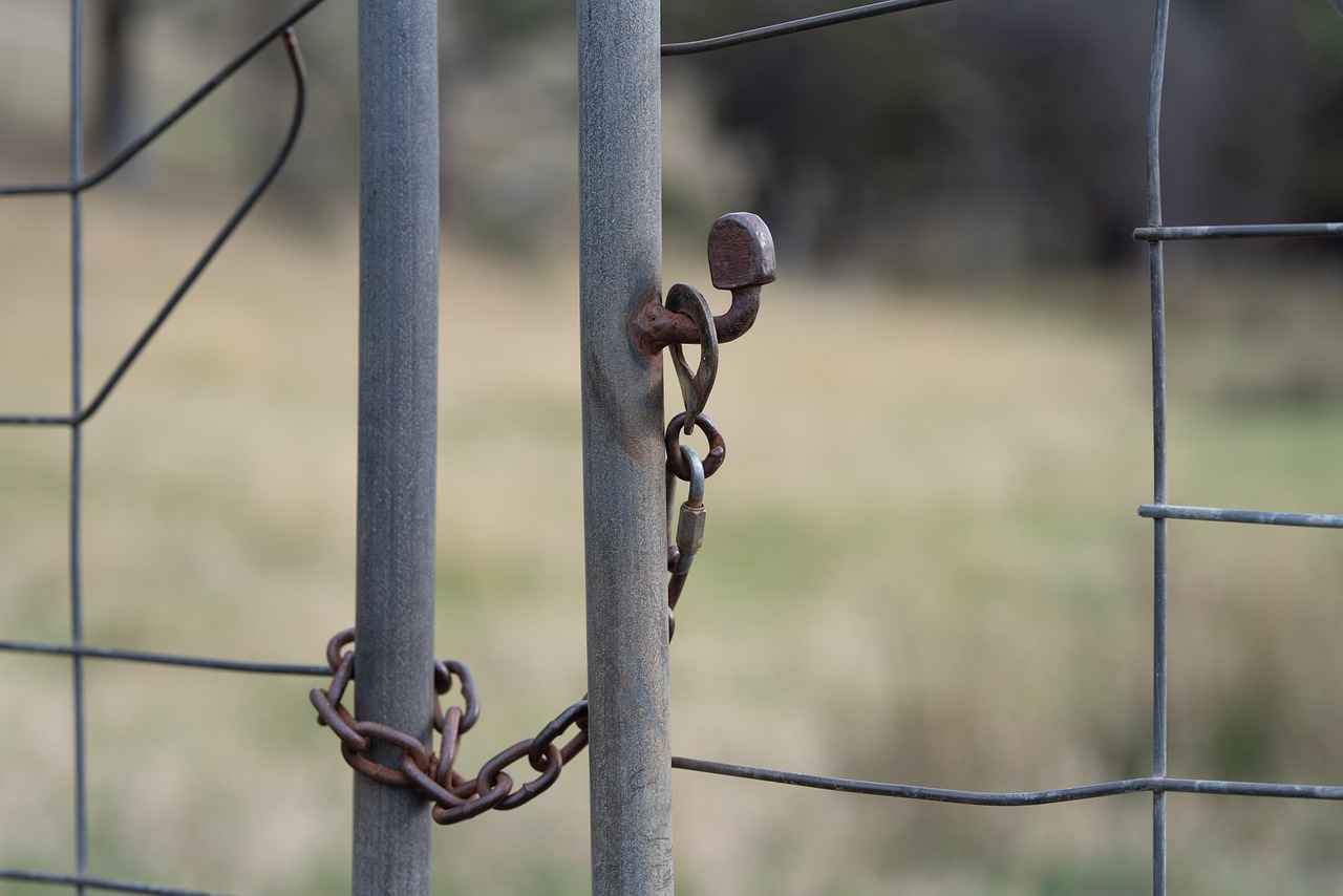 Klink's Evolution: From Klink to Klinklang