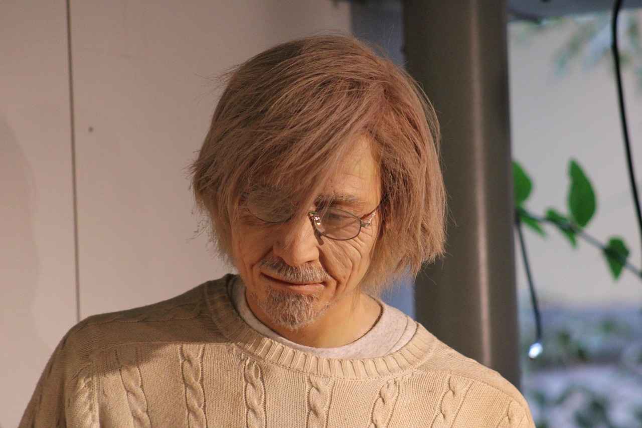 Mudbray's Evolution: From Mudbray to Mudsdale