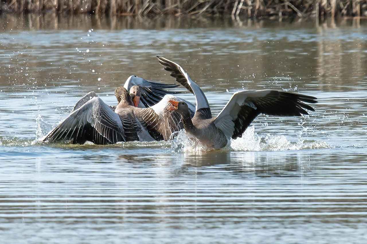 Nihilego Pokémon: Strengths, Best Moves, and How to Use It in Battle 3 Best Moves for Nihilego