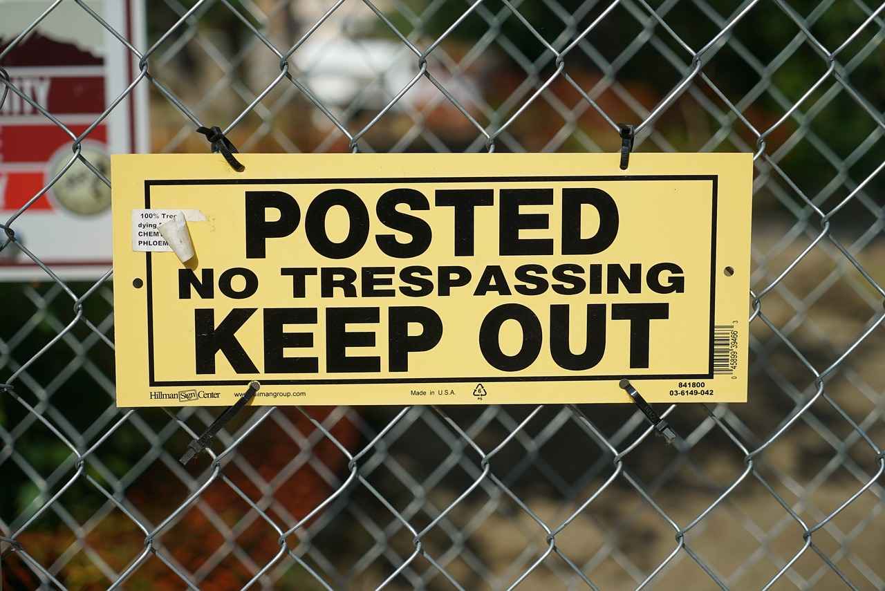 Conclusion: Mastering Passimian in Competitive Play