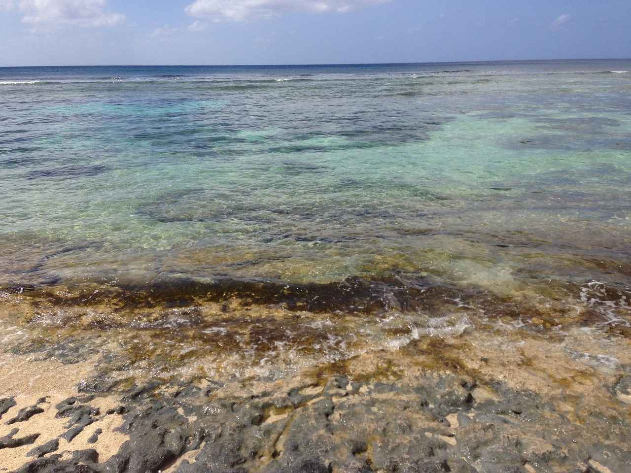 Rotom's Evolution and Forms