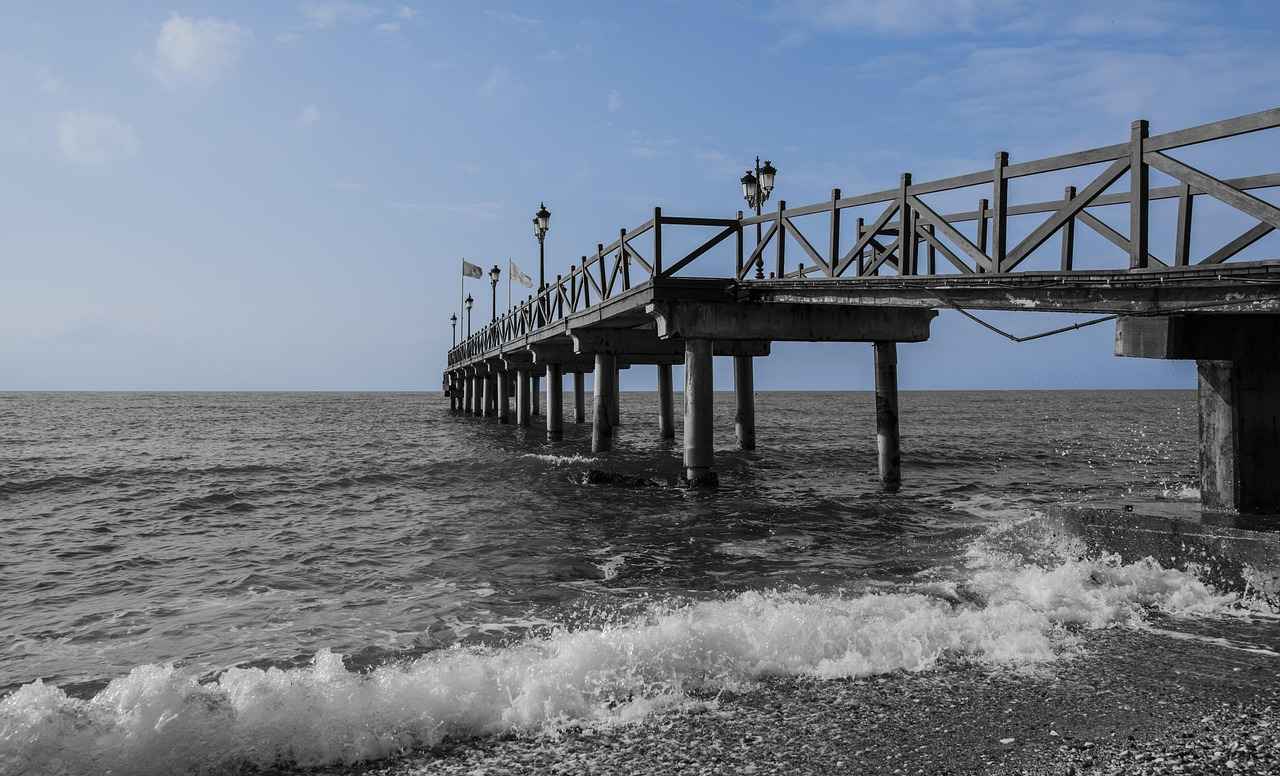 Understanding Rowlet's Evolution