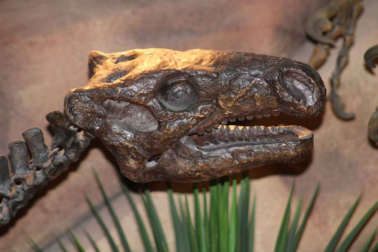 Spewpa's Evolution: From Scatterbug to Spewpa