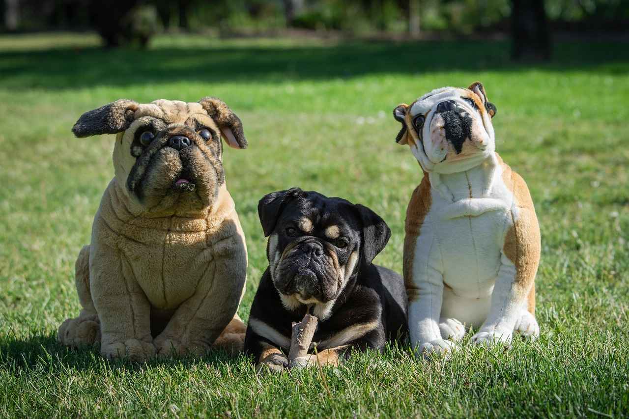 Conclusion: The Charm and Power of Stufful