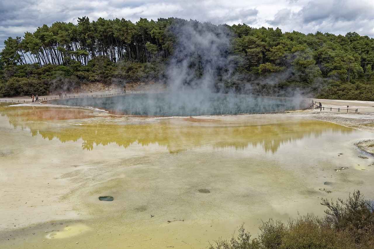 Best Battle Strategies for Tapu Koko