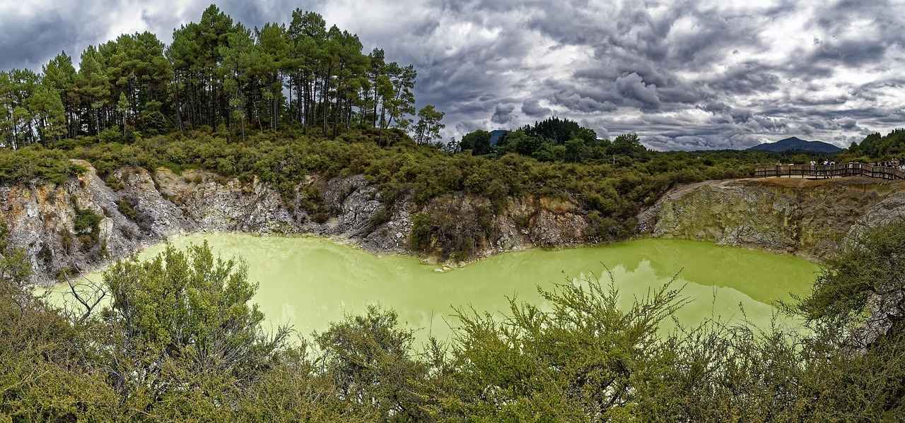 Understanding Tapu Lele's Unique Characteristics