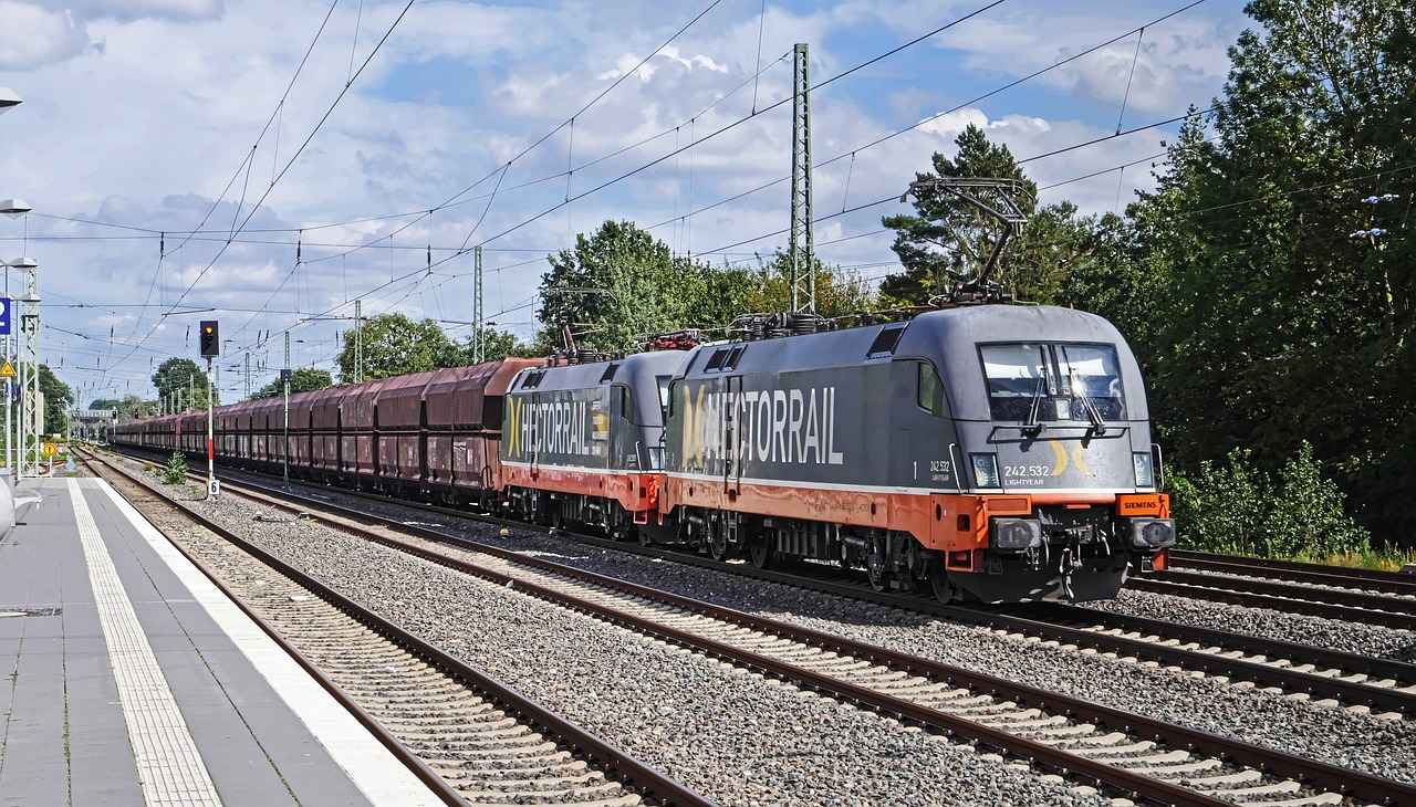 Tauros Pokémon Best Moves, Strengths, and Competitive Battle Guide 4 Competitive Strategies: Maximizing Tauros's Potential