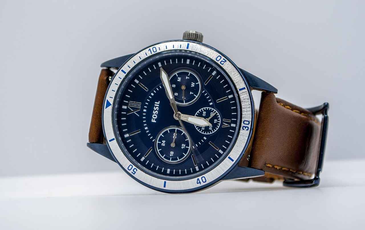 Understanding Tirtouga: A Brief Overview