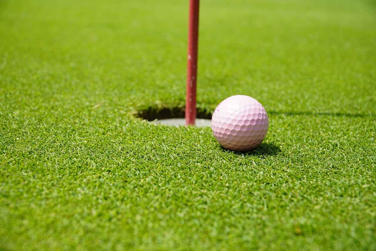 Competitive Strategy: Team Building with Toxapex