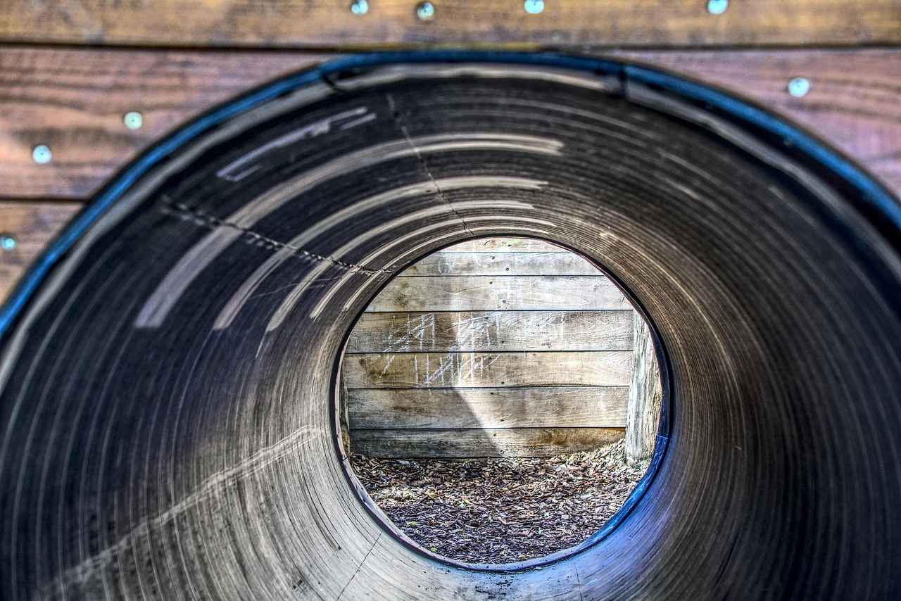 Conclusion: Mastering Weavile in Competitive Play